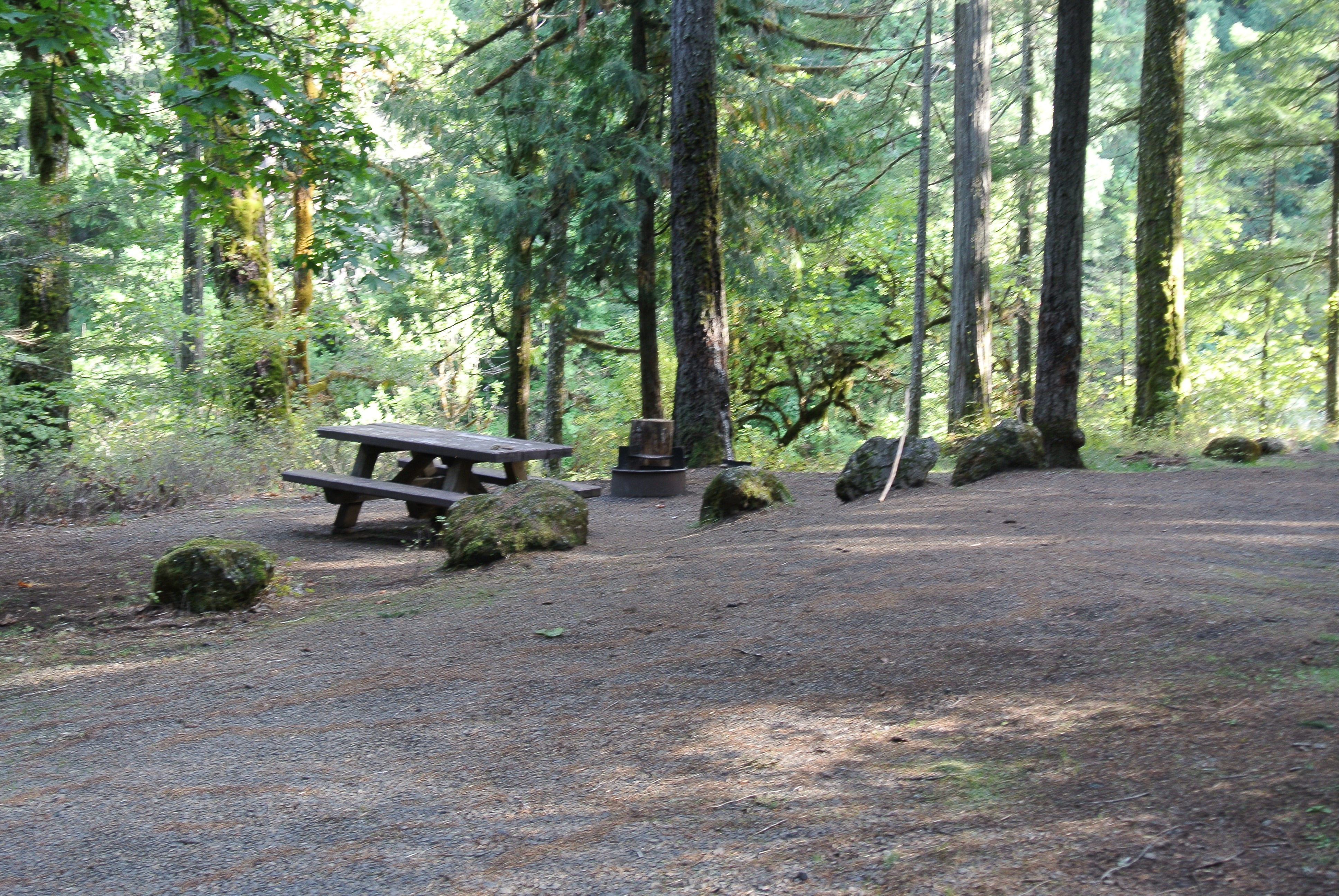 Camper submitted image from Boulder Creek Campground - 2