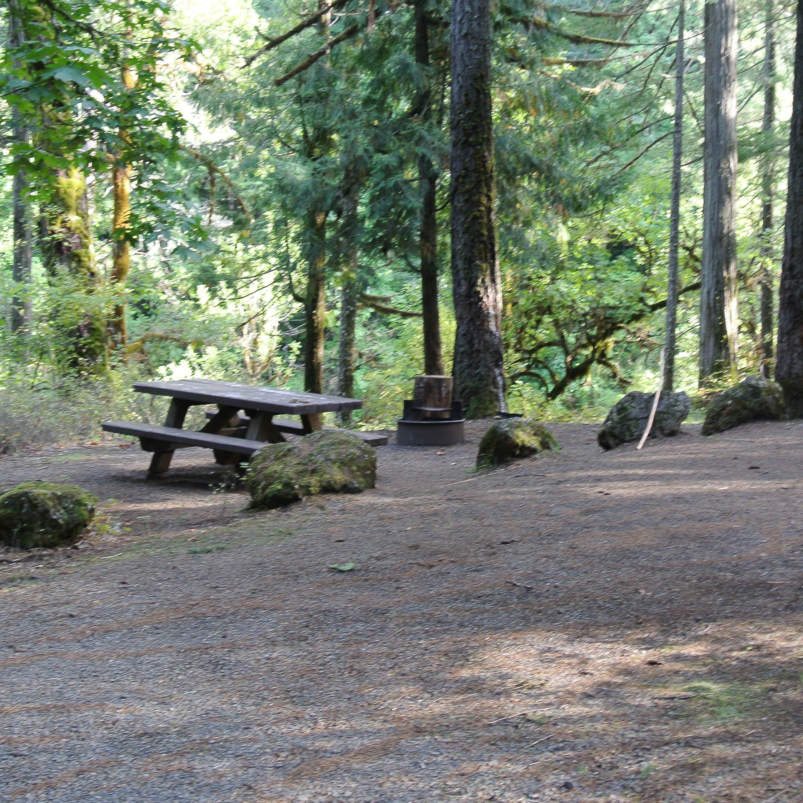 Boulder Creek Campground Camping The Dyrt