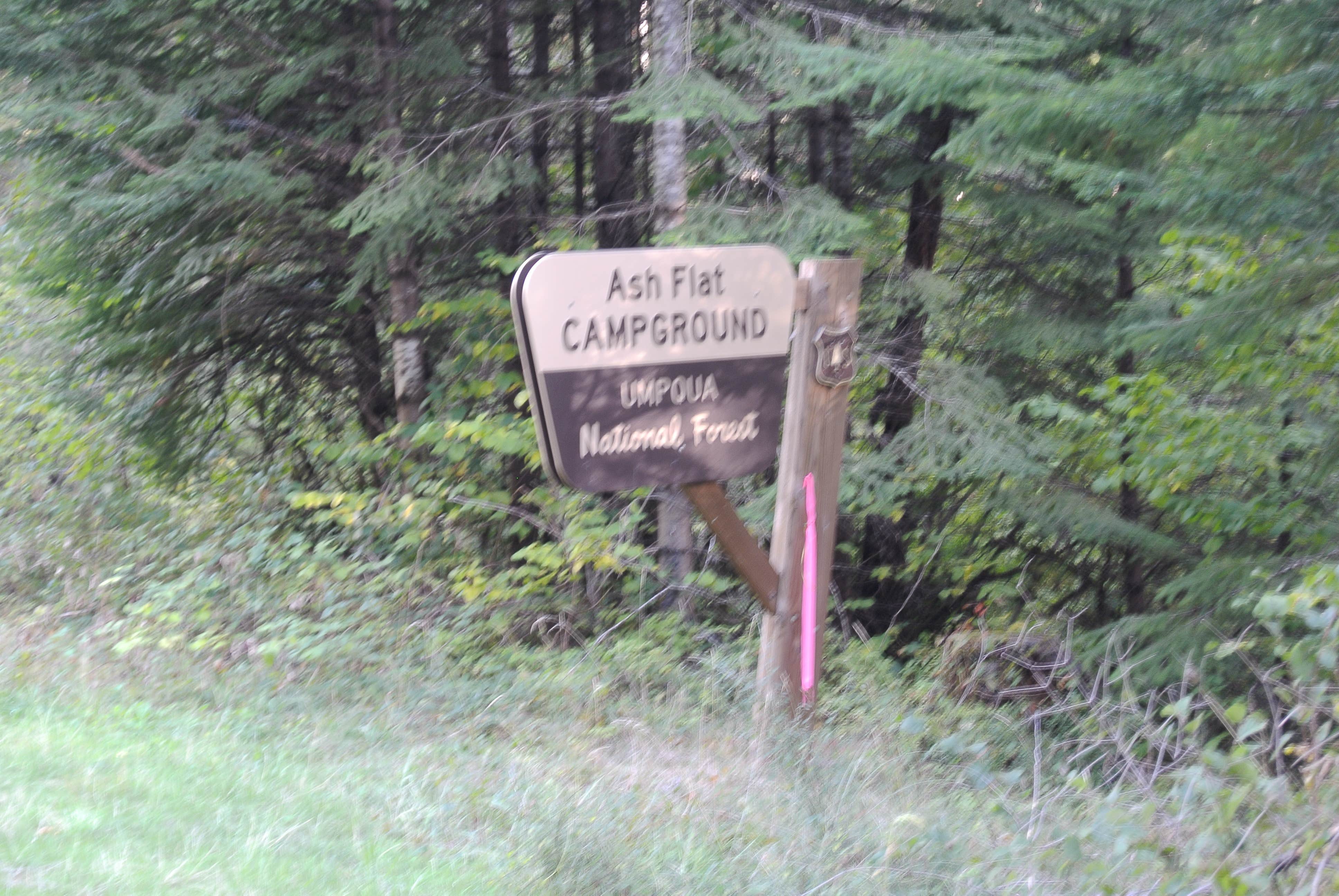 Signs & Maps
