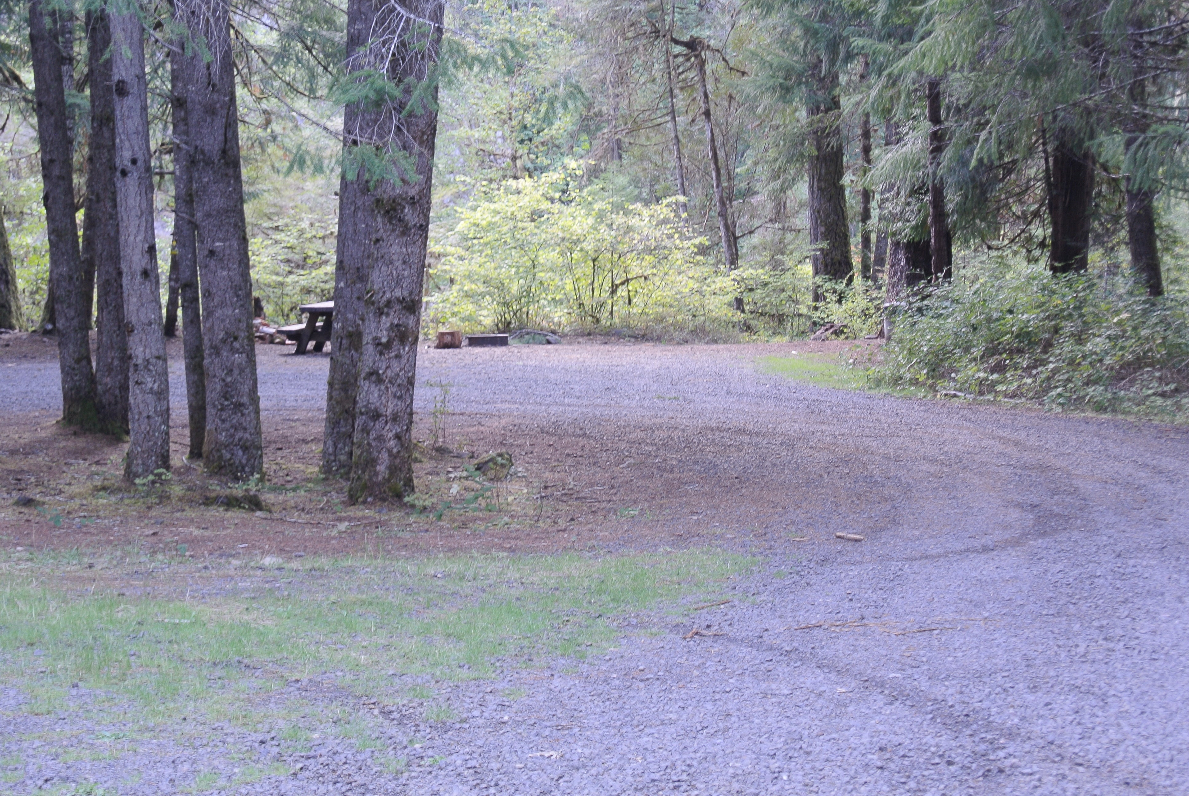 Camper submitted image from Ash Flat Campground - 2