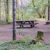 Review photo of Ash Flat Campground by Todd R., September 25, 2019