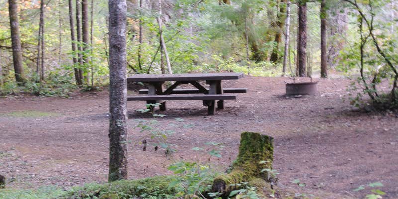 Camper submitted image from Ash Flat Campground