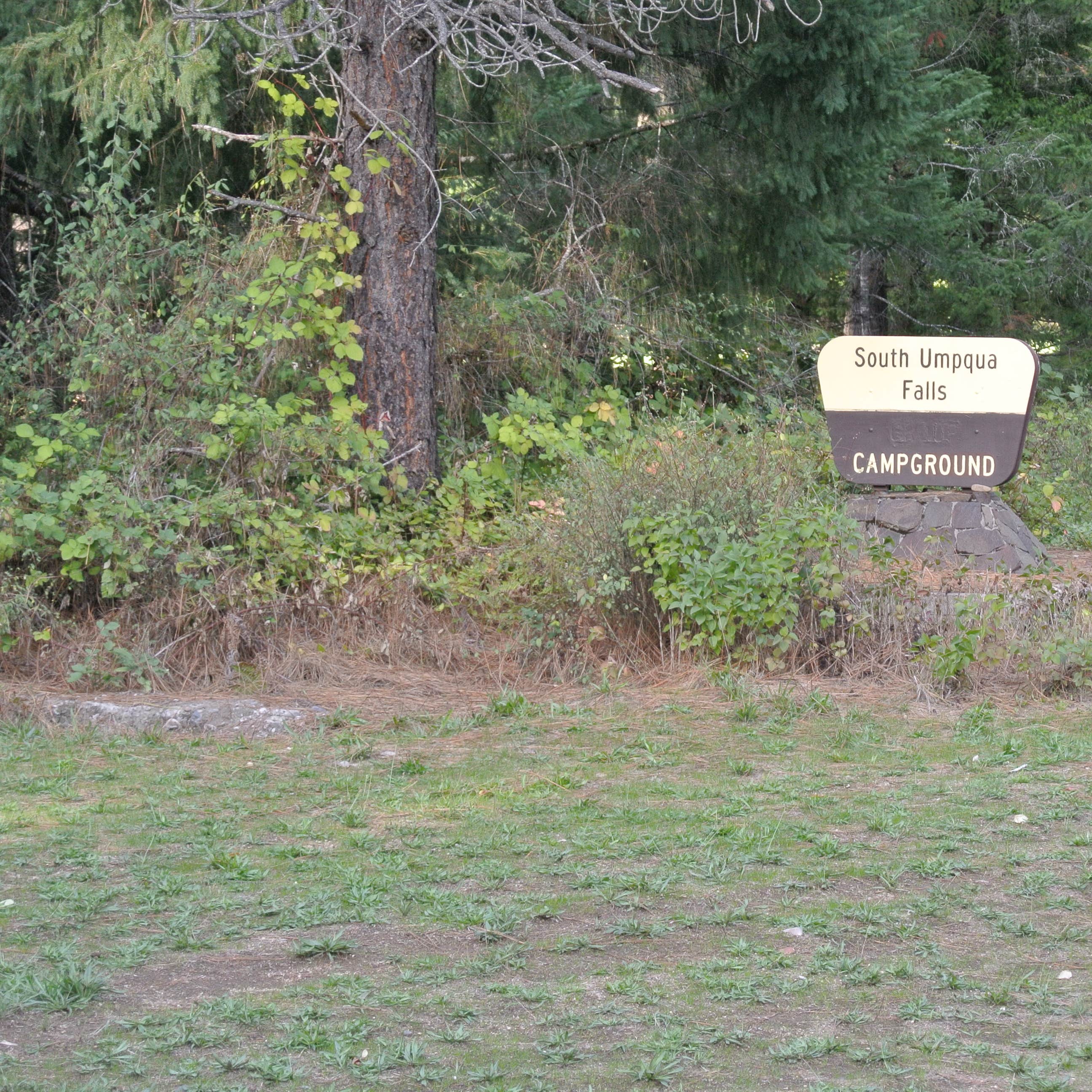 South Umpqua Falls Camping The Dyrt