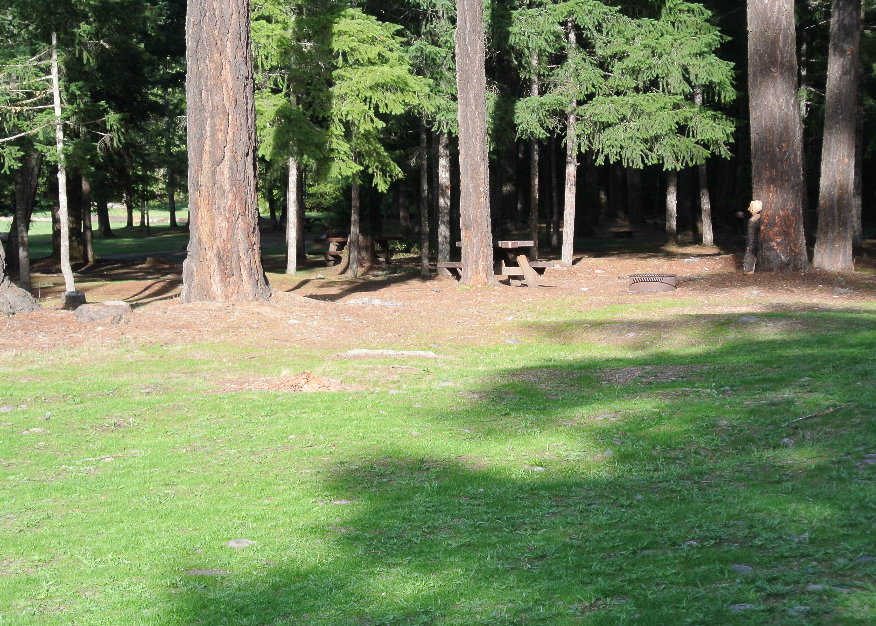 South Umpqua Falls Camping The Dyrt