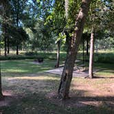 Review photo of Stephen Austin State Park by Taylor A., September 25, 2019