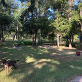 Review photo of Stephen Austin State Park by Taylor A., September 25, 2019