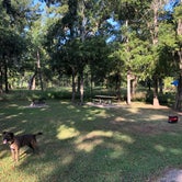 Review photo of Stephen Austin State Park Campground by Taylor A., September 25, 2019