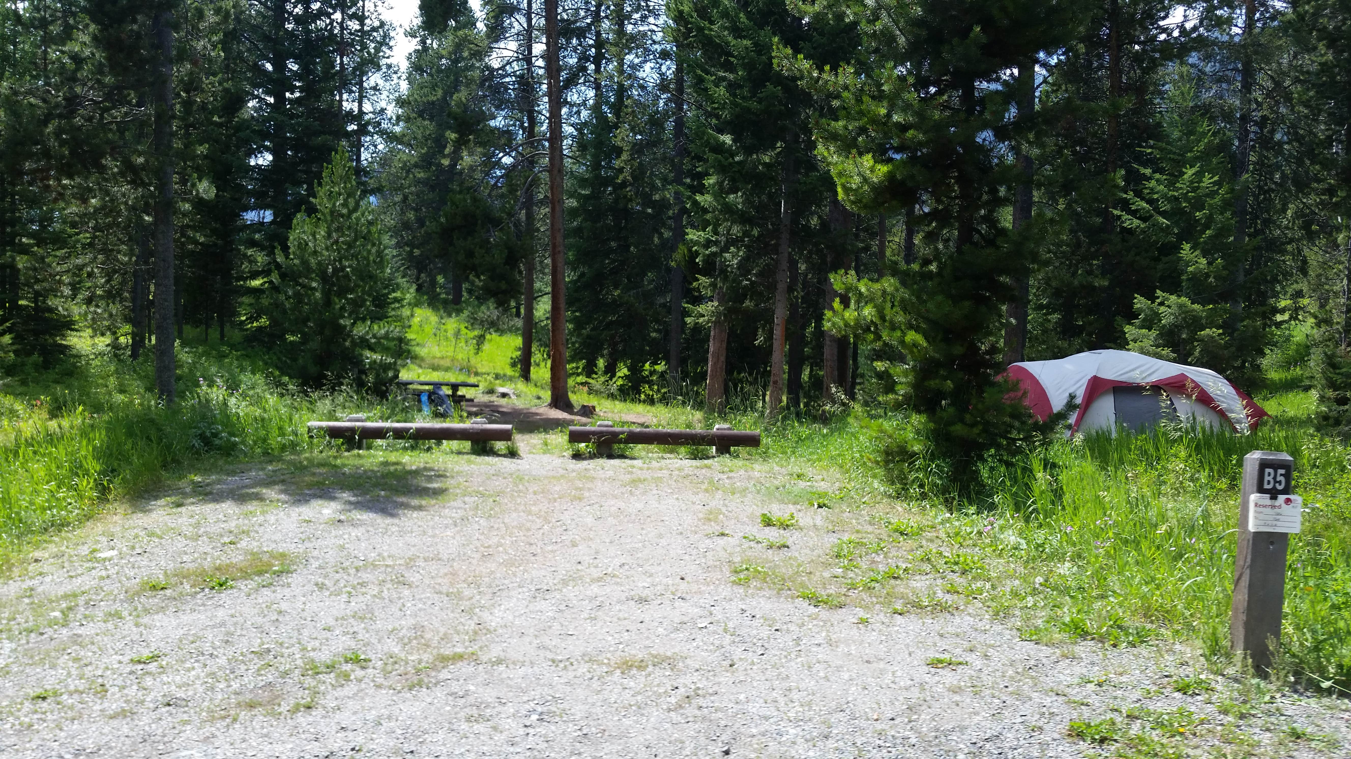 Camper submitted image from Beaver Creek Campground - 5