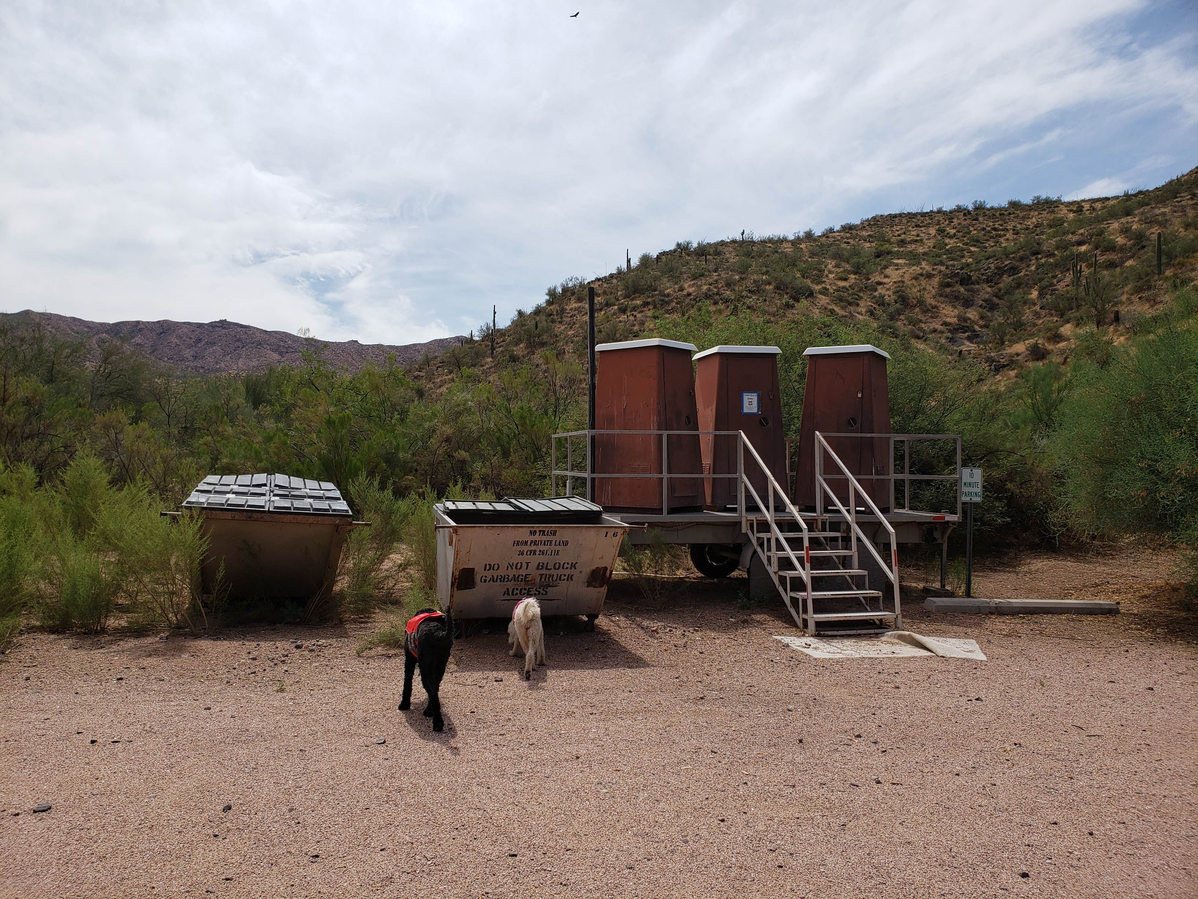 Camper submitted image from Crabtree Wash - 2