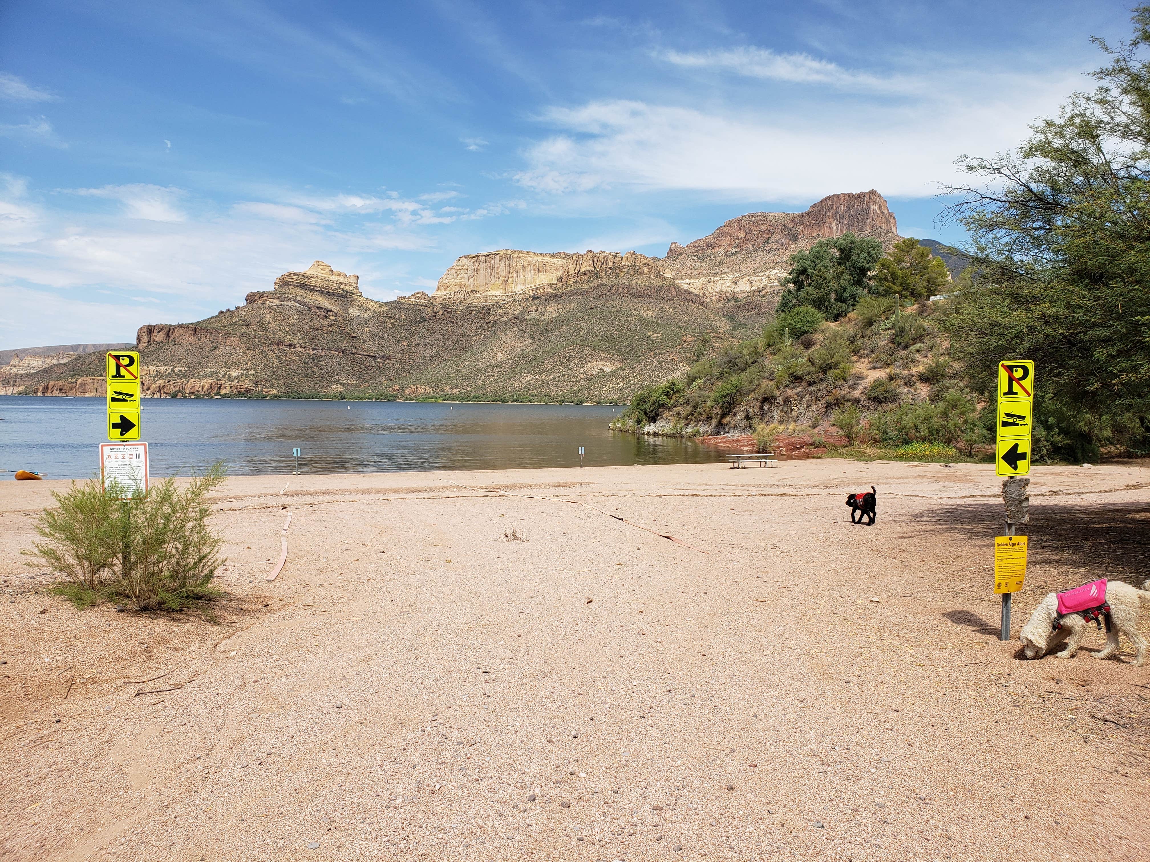 Camper submitted image from Crabtree Wash - 1