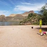 Review photo of Crabtree Wash by Whitney W., September 25, 2019
