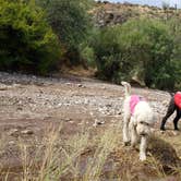 Review photo of Davis Wash - TEMPORARILY CLOSED by Whitney W., September 25, 2019