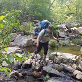 Review photo of Hawn State Park Campground by Mara F., August 11, 2017