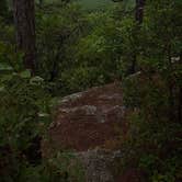 Review photo of Back Country Camping — Hawn State Park by Mara F., August 11, 2017