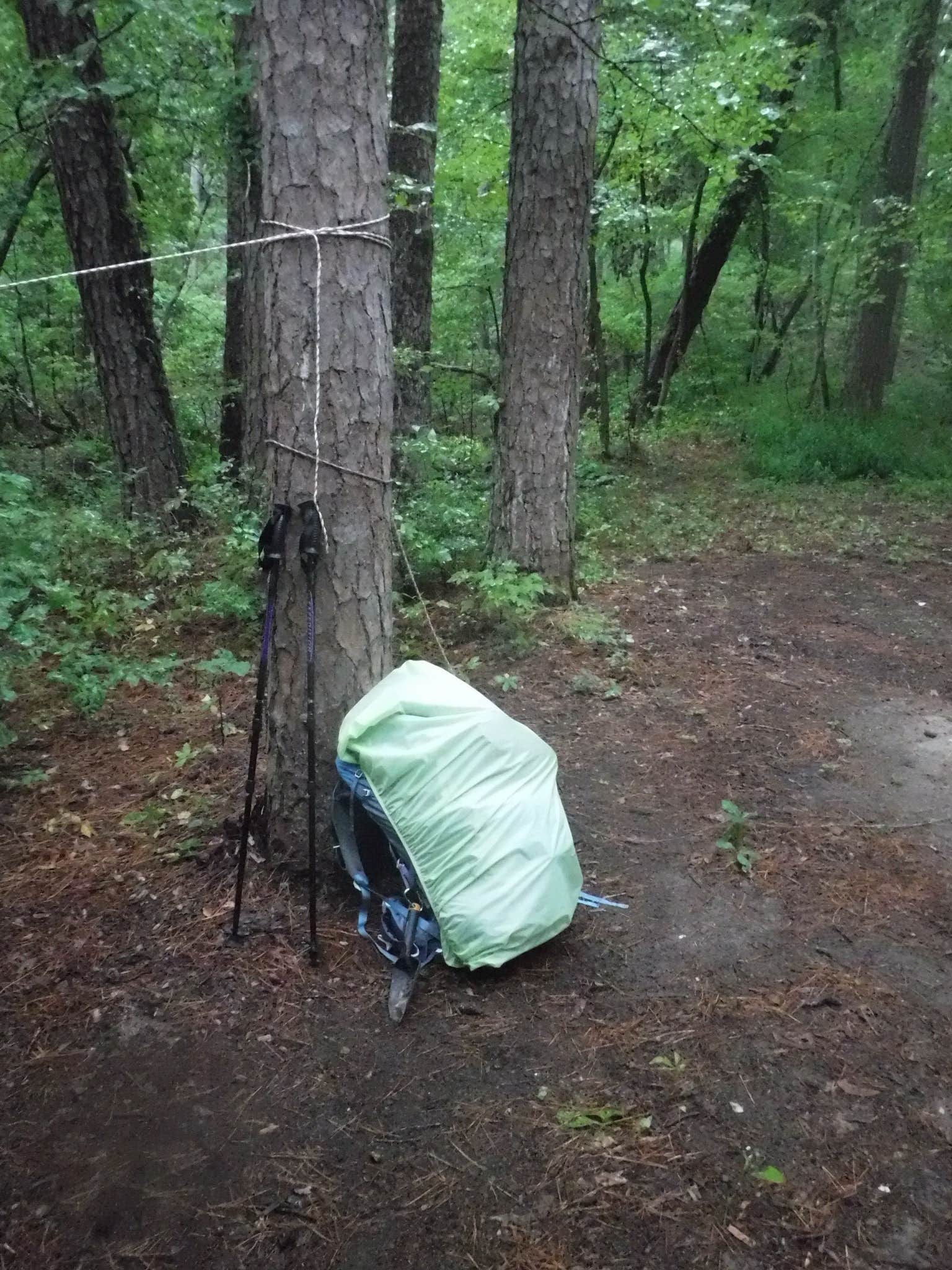 Camper submitted image from Hawn State Park Campground - 4
