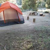 Review photo of Serrano by TheWolfman  Z., August 11, 2017