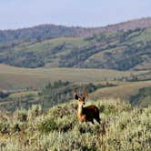 Review photo of Gros Ventre Campground — Grand Teton National Park by Melissa G., August 11, 2017