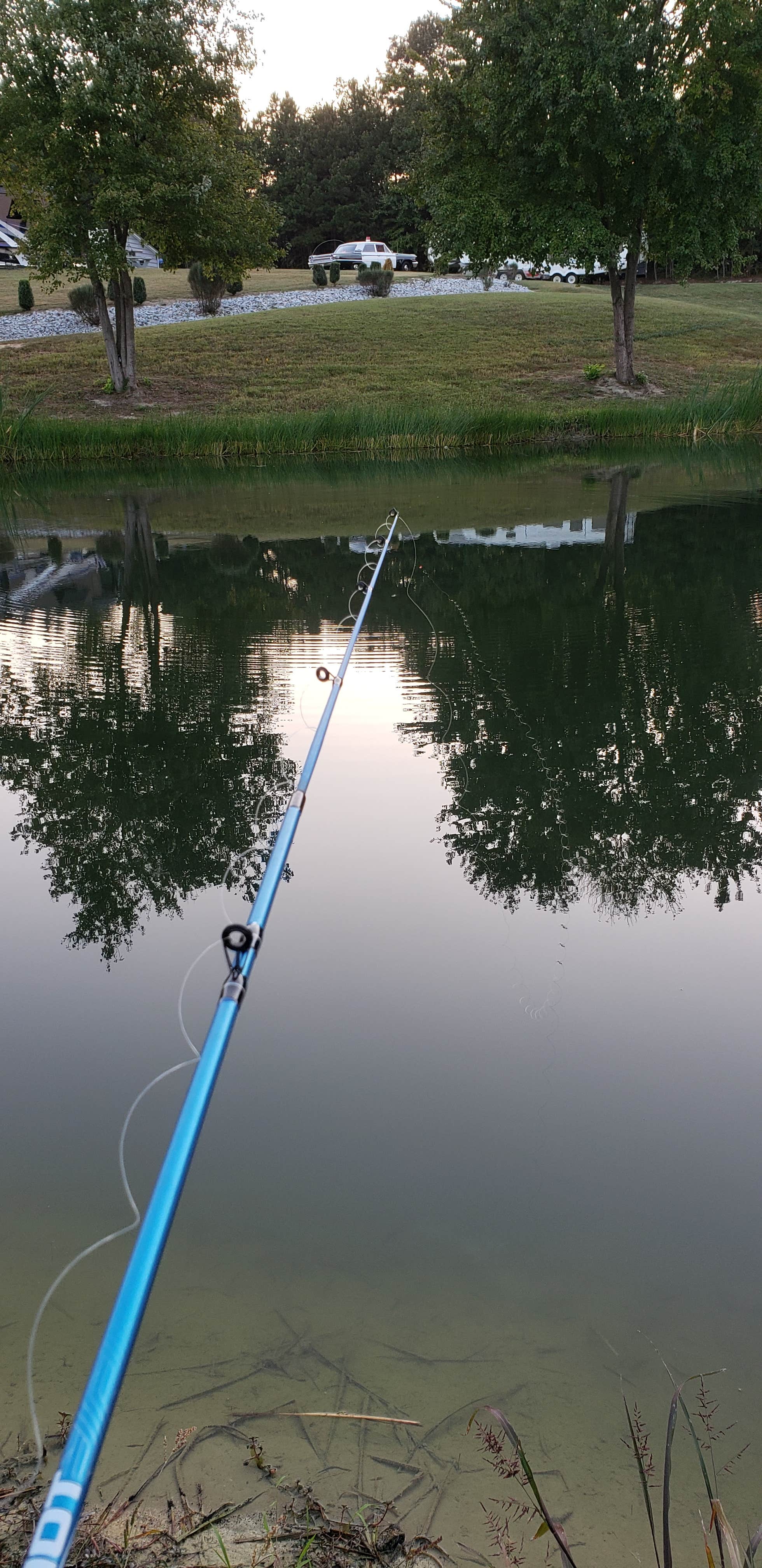 Camper-submitted photo at Mayberry Campground near Pine Hall, NC