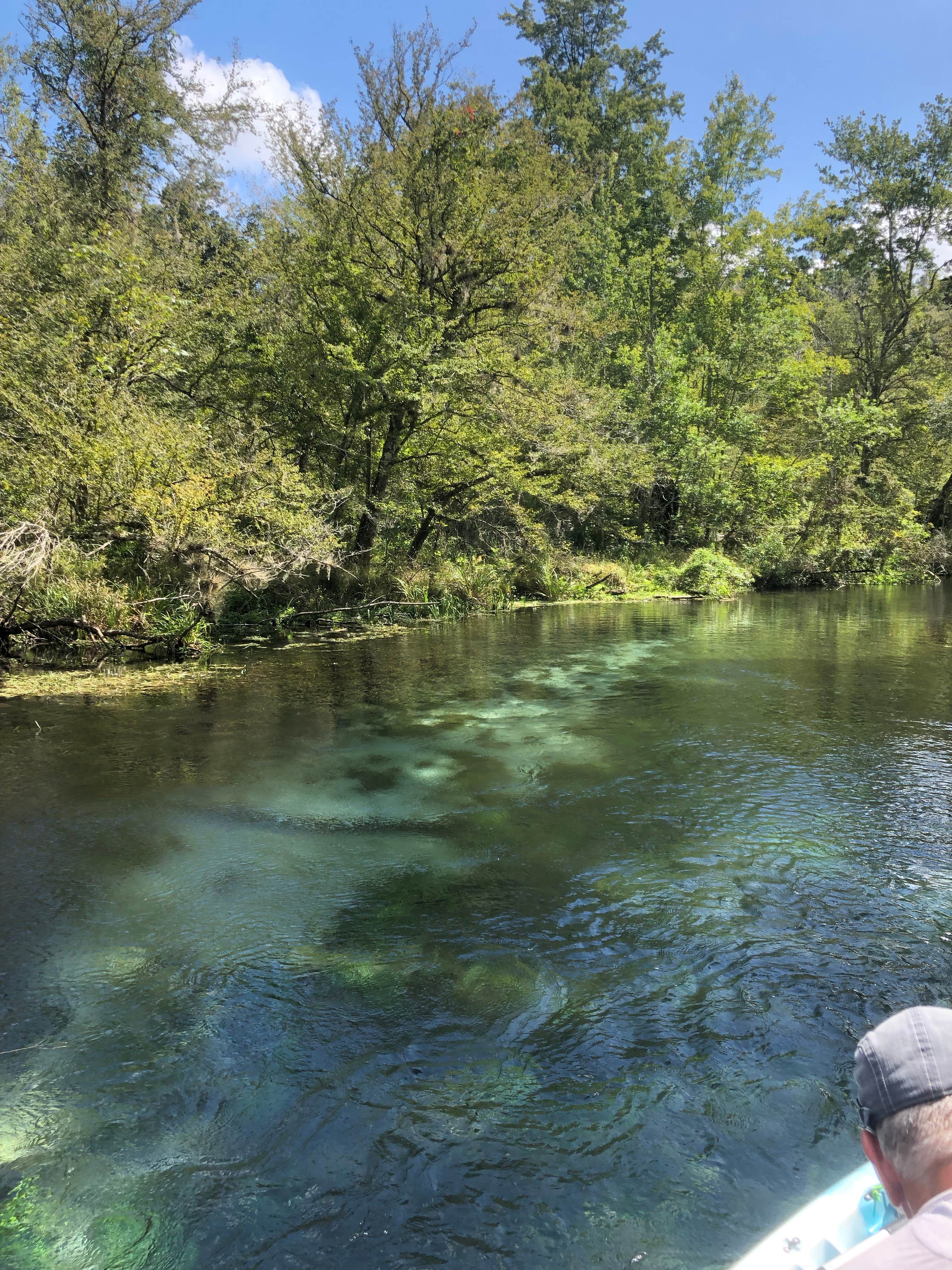 Camper submitted image from Moonshine Acres RV Park - 5