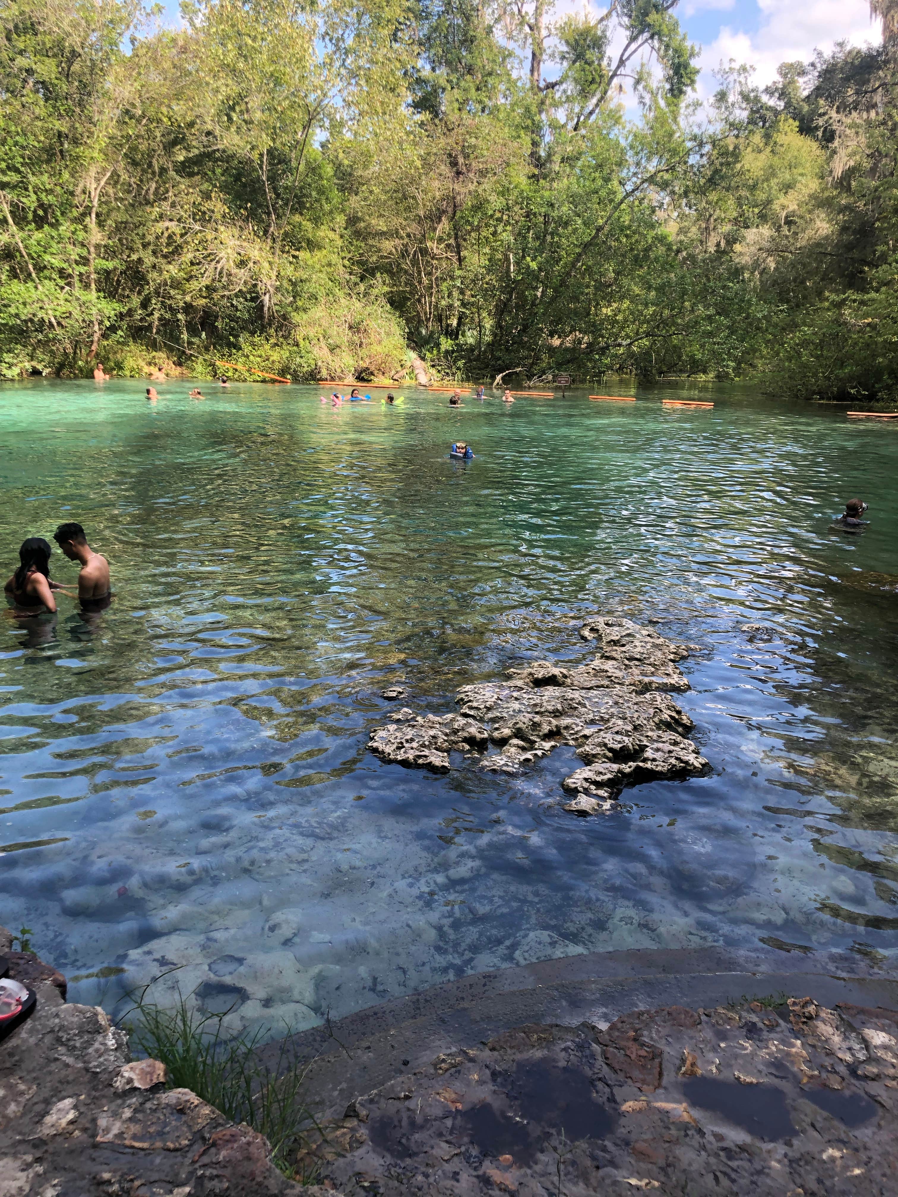 Camper-submitted photo at Moonshine Acres RV Park near High Springs, FL