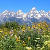Review photo of Gros Ventre Campground — Grand Teton National Park by Melissa G., August 11, 2017
