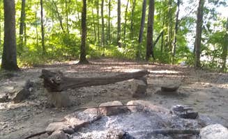 Marsha K.'s photo of camping with pets at Grove Boat-In Campground near Laurel River Lake