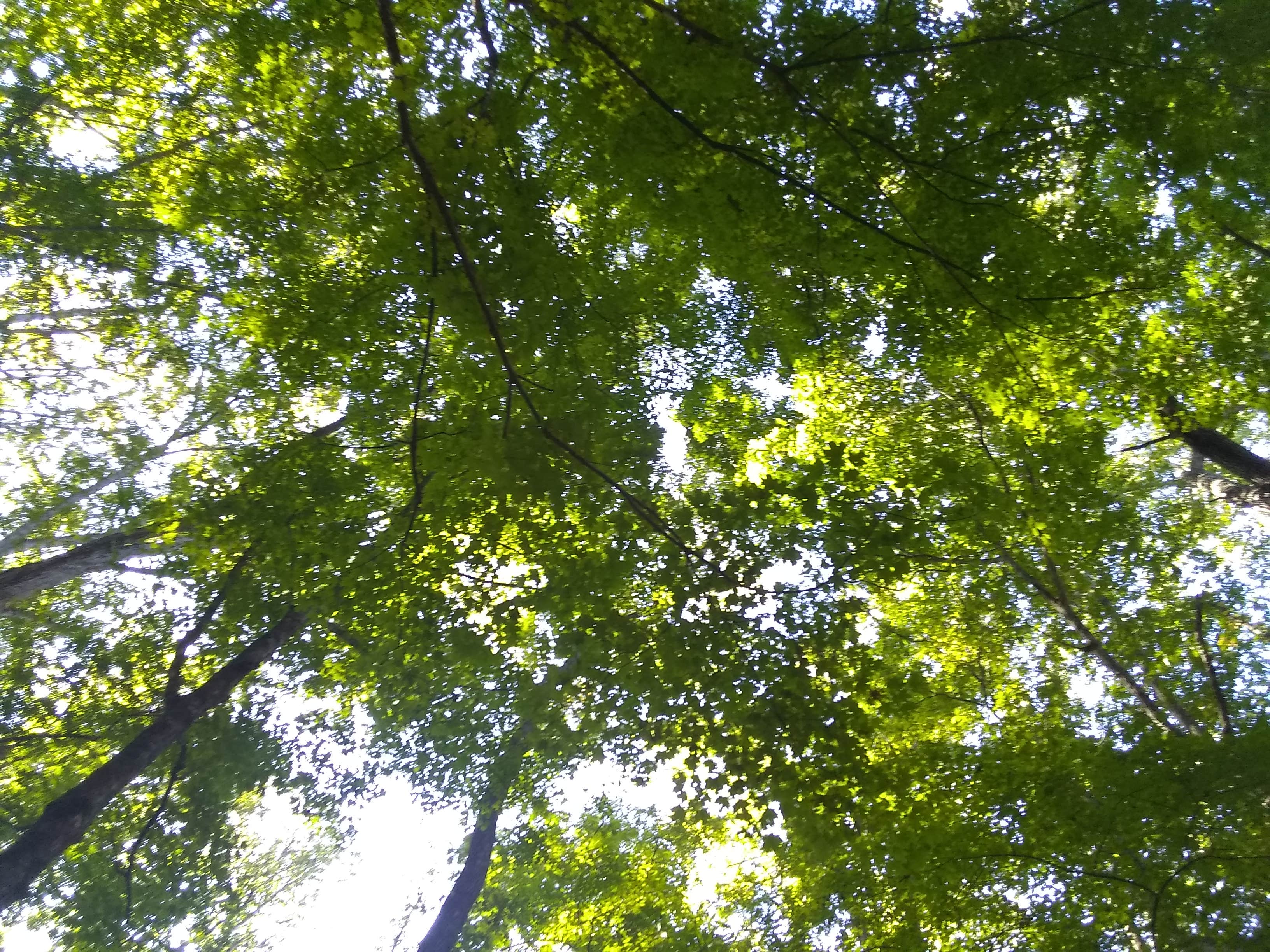 Camper-submitted photo at Grove Boat-In Campground near Buckhorn Lake