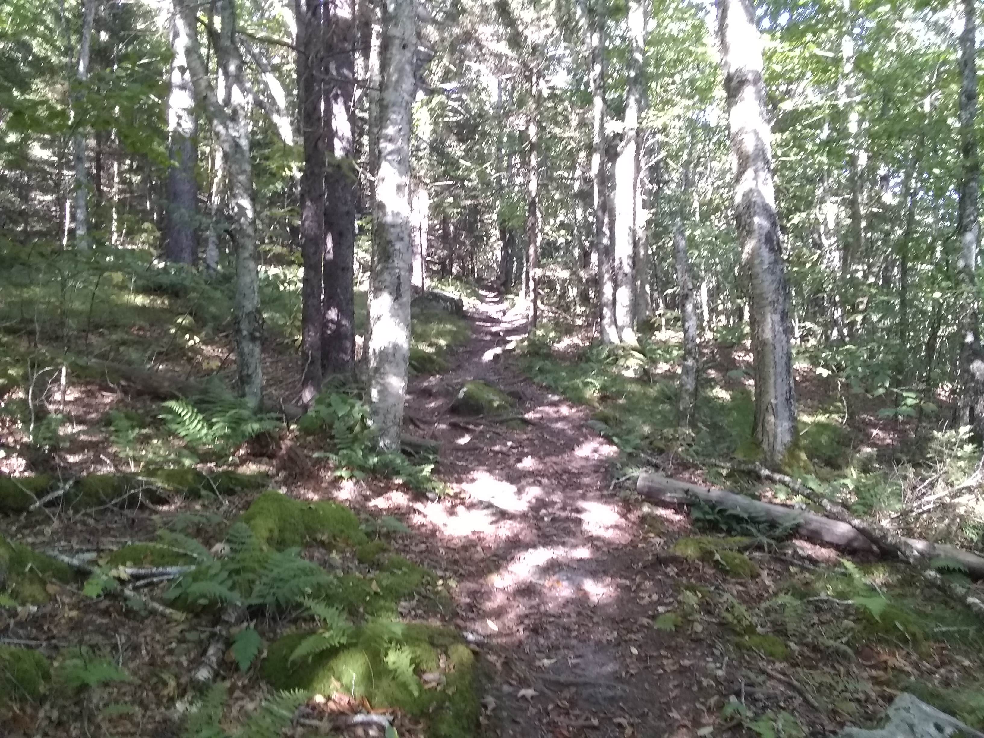 Camper-submitted photo at Pine Mountain State Resort Park near Pineville, KY