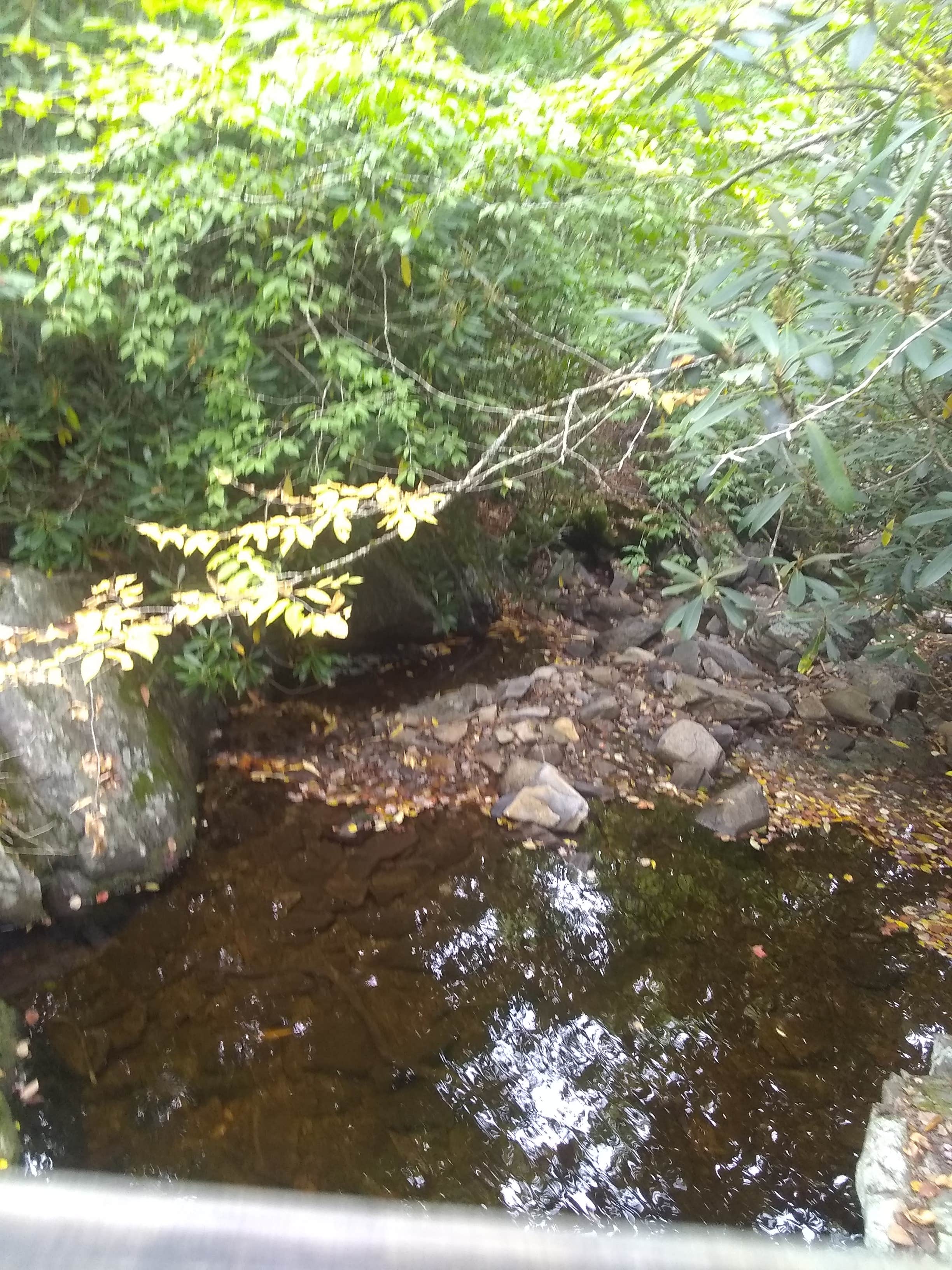 Camper-submitted photo at Pine Mountain State Resort Park near Pineville, KY