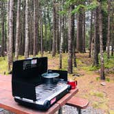 Review photo of Blackwoods Campground — Acadia National Park by Rebecca A., September 25, 2019