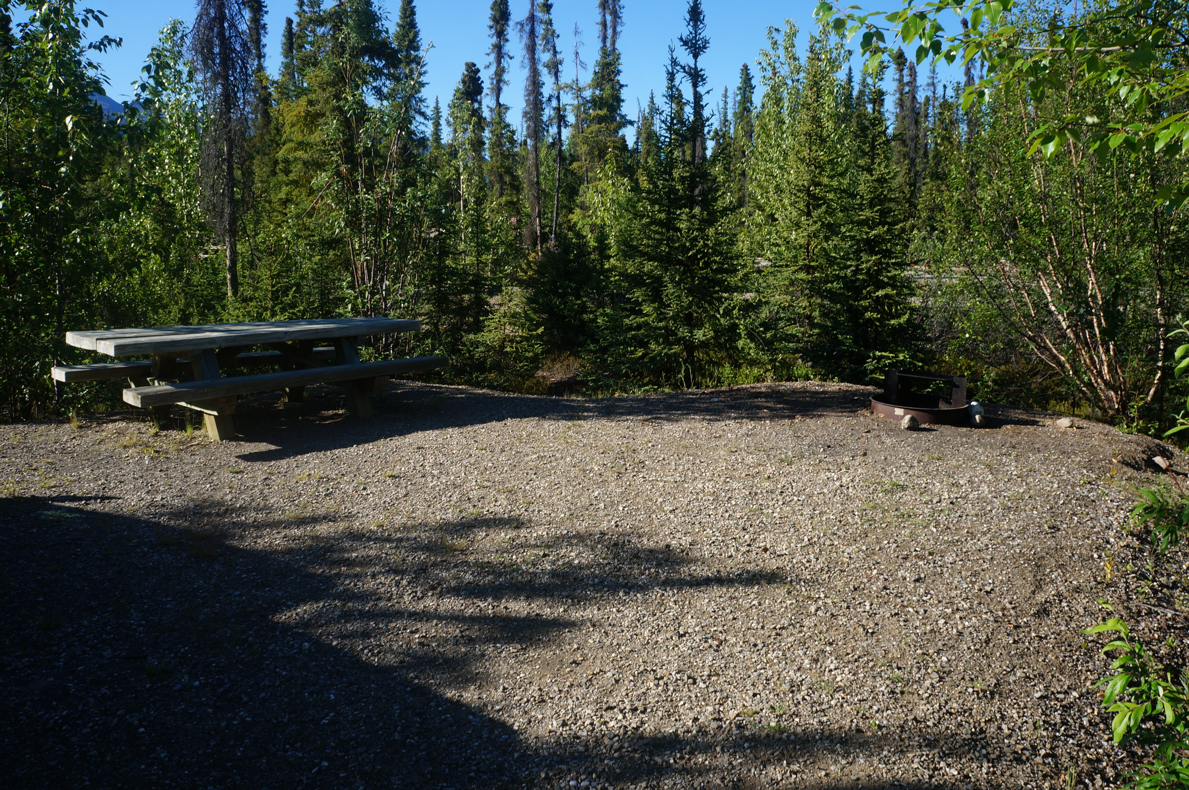 Camper submitted image from Marion Creek Campground - 4