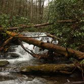 Review photo of Raven Cliff Falls by John W., August 8, 2017