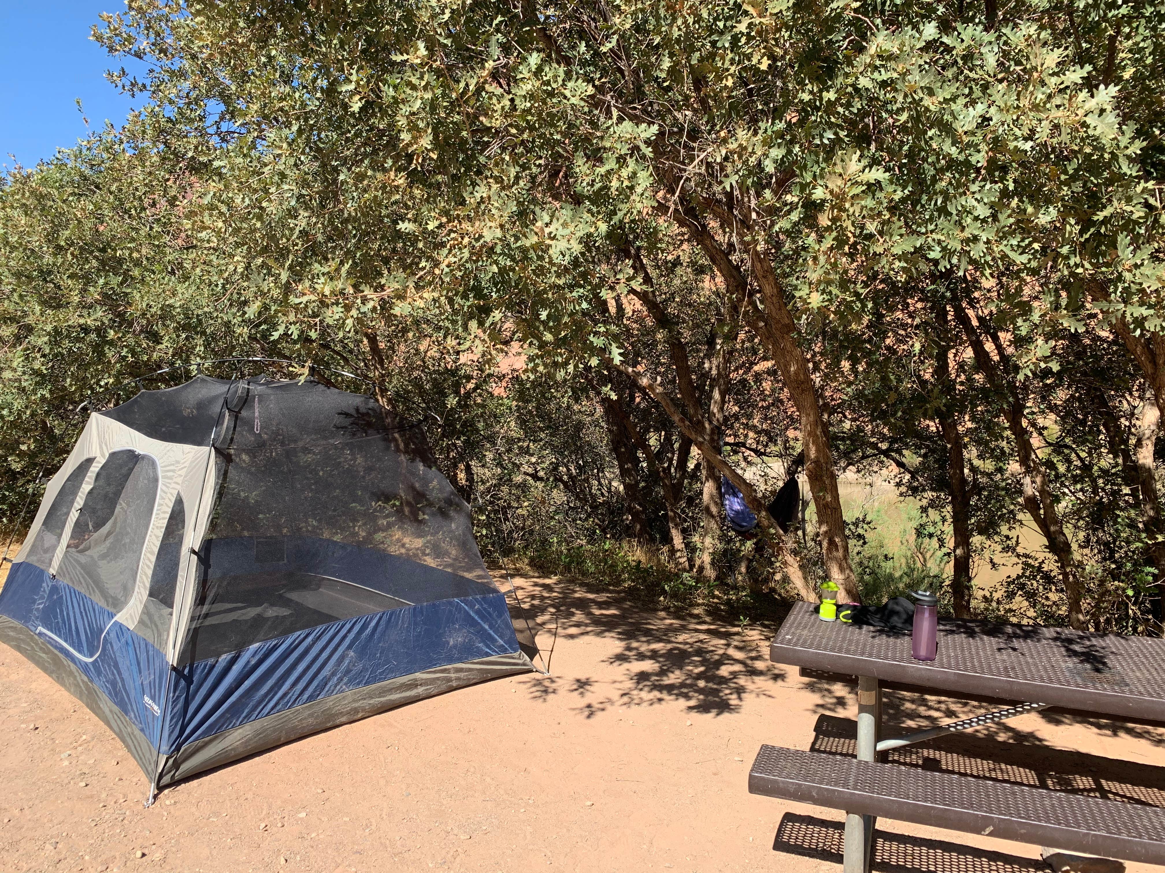 Shavit L.'s photo at Drinks Canyon Camping Area near Castle Valley, UT