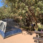 Review photo of Drinks Canyon Camping Area by Shavit L., September 25, 2019