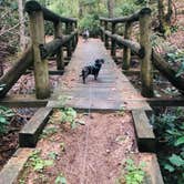 Review photo of Raccoon Branch Campground by Shelly S., September 26, 2019