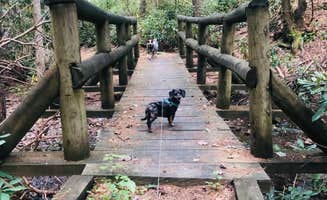 Shelly S.'s photo of camping with pets at Raccoon Branch Campground near Wytheville, VA