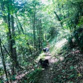 Review photo of Raccoon Branch Campground by Shelly S., September 26, 2019