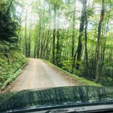 Review photo of Royal Oak Campground — Hungry Mother State Park by Shelly S., September 26, 2019