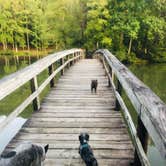 Review photo of Royal Oak Campground — Hungry Mother State Park by Shelly S., September 26, 2019