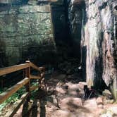 Review photo of Fall Creek Falls State Park Campground by Shelly S., September 26, 2019