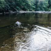 Review photo of Fall Creek Falls State Park Campground by Shelly S., September 26, 2019