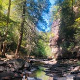 Review photo of Fall Creek Falls State Park Campground by Shelly S., September 26, 2019