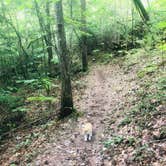 Review photo of Pickett CCC Memorial State Park Campground by Shelly S., September 26, 2019