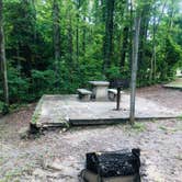 Review photo of Pickett CCC Memorial State Park Campground by Shelly S., September 26, 2019