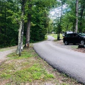 Review photo of Pickett CCC Memorial State Park Campground by Shelly S., September 26, 2019