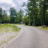 Review photo of Pickett CCC Memorial State Park Campground by Shelly S., September 26, 2019