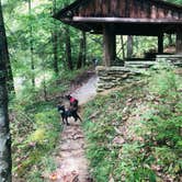 Review photo of Pickett CCC Memorial State Park Campground by Shelly S., September 26, 2019