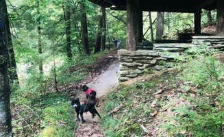 Shelly S.'s photo of camping with pets at Pickett CCC Memorial State Park Campground near Albany, KY