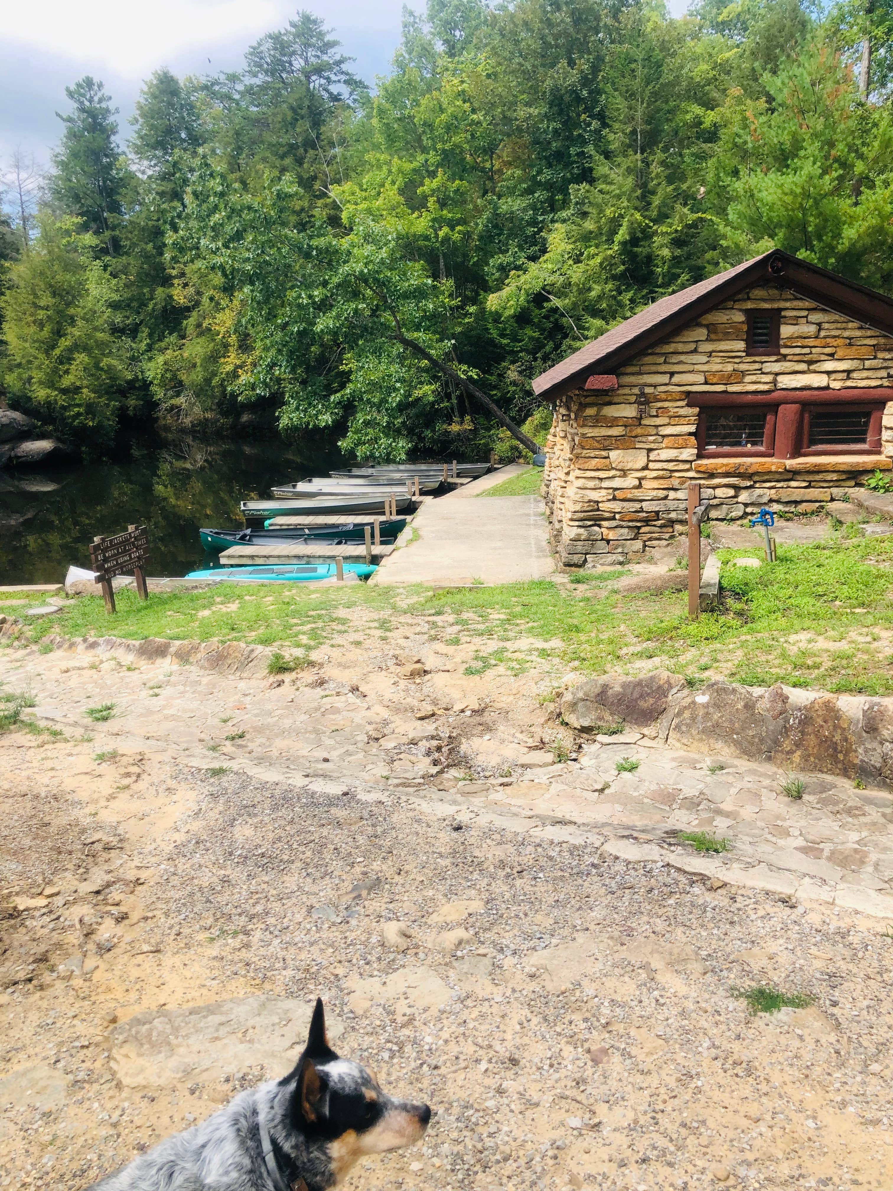 Shelly S.'s photo of camping with pets at Pickett CCC Memorial State Park Campground near Huntsville, TN