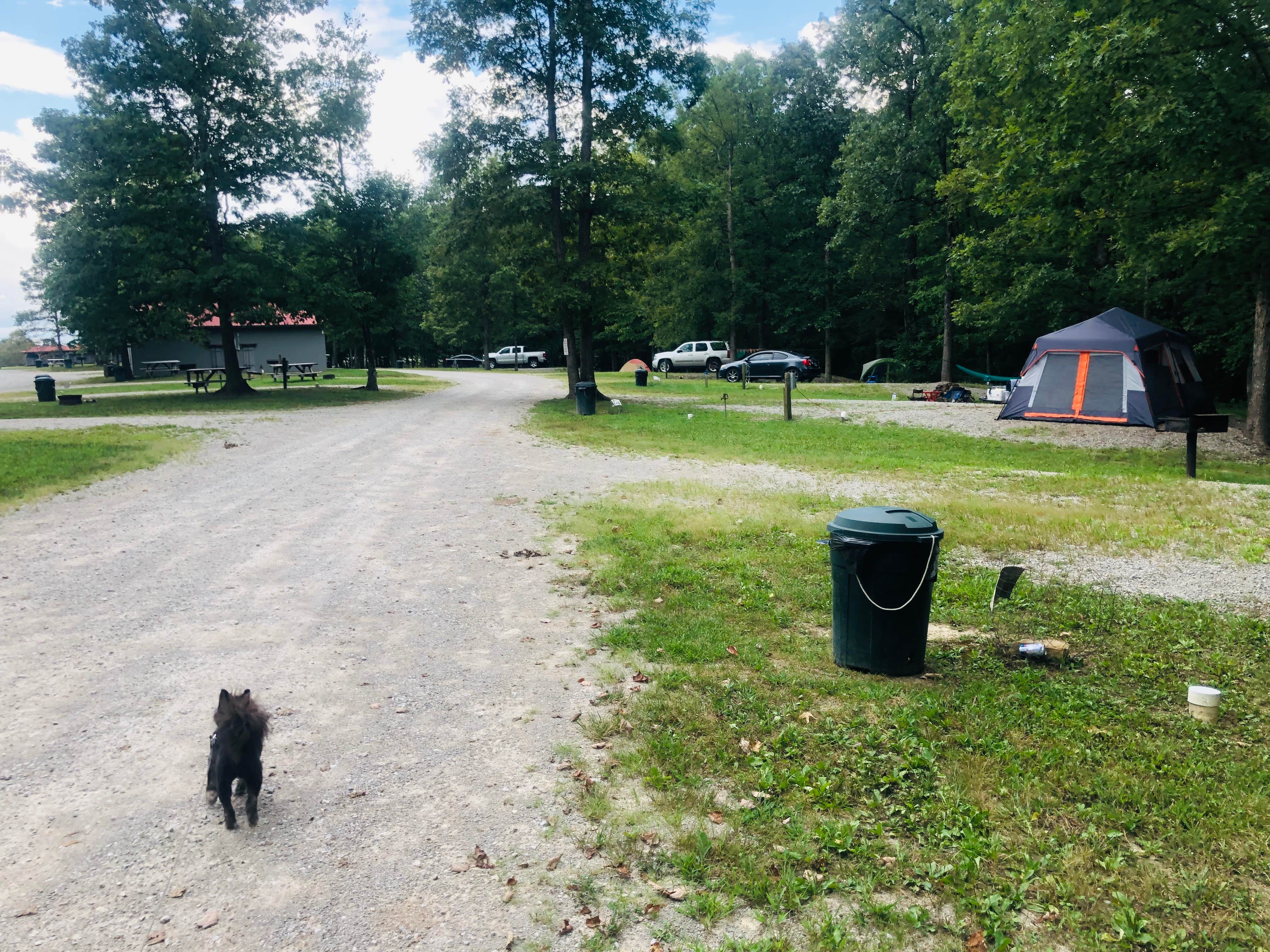 Shelly S.'s photo at East Fork Stables near Rickman, TN